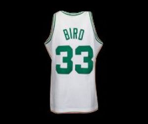 Bird Jersey